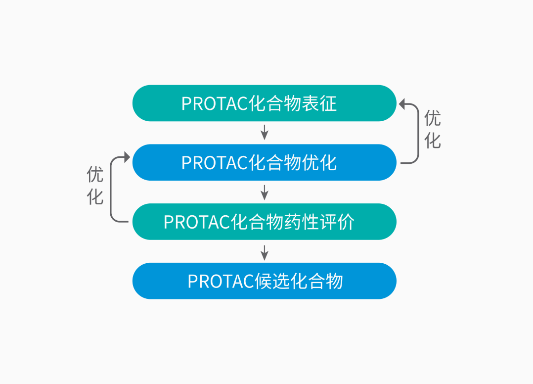 PROTAC药代动力学研究策略