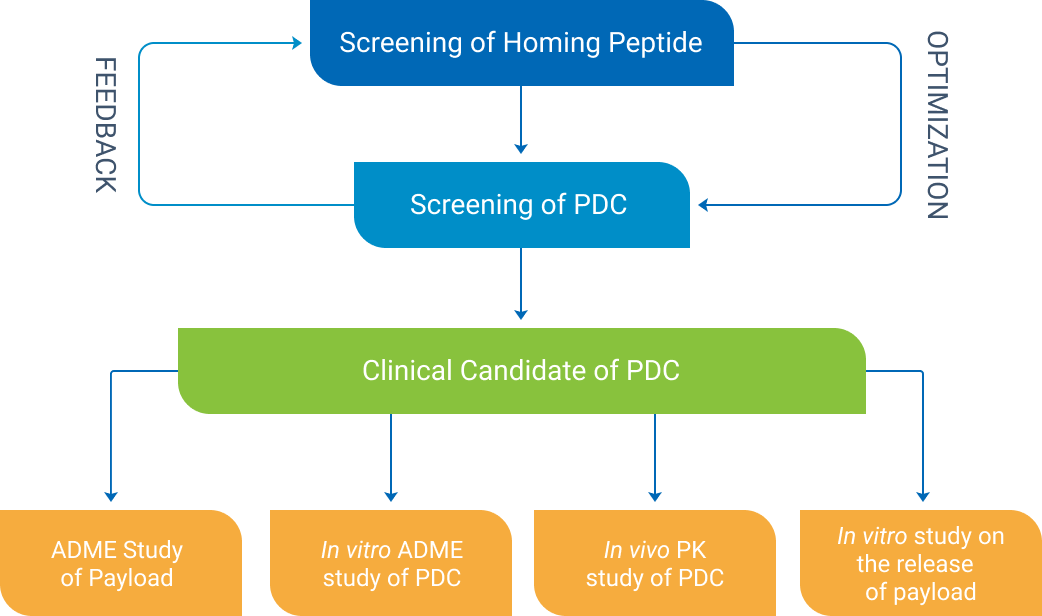 PDC Pharmacokinetic Study Strategies